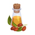 Jojoba Oil Bottle with Bottle Cap and Jojoba Branch Next to It Vector Illustration