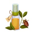 Jojoba Oil Bottle with Label and Jojoba Branch Next to It Vector Illustration