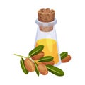 Jojoba Oil Bottle with Label and Jojoba Branch Next to It Vector Illustration