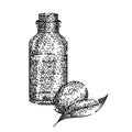 jojoba oil bottle sketch hand drawn vector