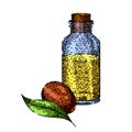 jojoba oil bottle sketch hand drawn vector