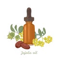 Jojoba oil in dark amber glass dropper bottle isolated