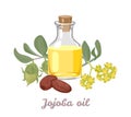 Jojoba oil in glass bottle isolated