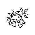Jojoba pixel perfect linear icon. Exotic fruits. Botany. Miracle fruit. Brazilian plant. Thin line customizable Royalty Free Stock Photo