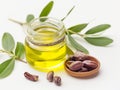 Jojoba plant and jojoba oil in glass jar with seeds on white