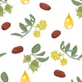 Jojoba plant seamless pattern. Vector illustration