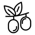 Jojoba seeds icon, outline style