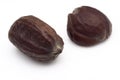 Jojoba seeds (Simmondsia chinensis)