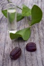 Jojoba (Simmondsia chinensis) leaves, seeds and oil