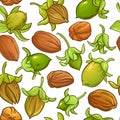 Jojoba vector pattern