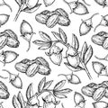 Jojoba vector seamless pattern drawing. vintage background with berry, nuts, branch.