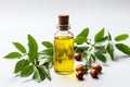 Jojova and jojoba oil in glass bottle, with leaves on a plain white background. Marketing branding concept shot