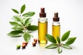 Jojova and jojoba oil in glass bottles, with leaves and fruits on a plain white background.