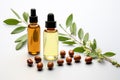 Jojova and jojoba oil in glass bottles, with leaves and fruits on a plain white background. Marketing branding concept shot