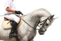 Jokey on dressage horse Royalty Free Stock Photo