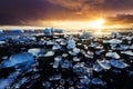 Jokulsarlon beach ice