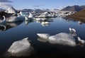 Jokulsarlon glacial lagoon in Iceland