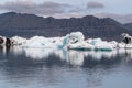 Jokulsarlon glacier lagoon bay with blue icebergs floating on still water with reflections, Iceland Royalty Free Stock Photo