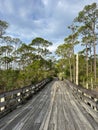 Jolie Island bridge in Miramar Beach, Florida