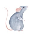 Jolly little baby mouse character with black eyes, pink ears, long tail; looking up and cheerfully smiling.