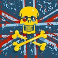 Jolly Roger Flag Background Royalty Free Stock Photo