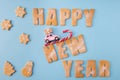 Jolly x-mas time. Top above high angle view of ginger biscuits make word happy new year tasty snowman star christmas Royalty Free Stock Photo