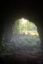 Jomblang cave entrance Royalty Free Stock Photo