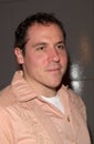Jon Favreau Royalty Free Stock Photo