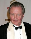 Jon Voight Royalty Free Stock Photo