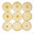 Jonagold apple malus domestica slices
