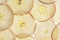 Jonagold apple malus domestica slices Royalty Free Stock Photo