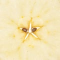 Jonagold apple malus domestica slices Royalty Free Stock Photo