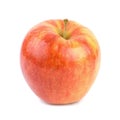 Jonagold Apple (w/path)