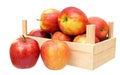 Jonagold apples in basket