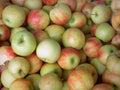 Jonagold Apples Texture