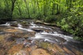 Jonathan Run in the Pennsylvania Wood