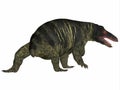 Jonkeria Dinosaur Tail