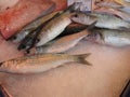 JONZAC,FRANCE-AUGUST 08, 2017: fish stall in the Jonzac market