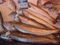 JONZAC,FRANCE-AUGUST 08, 2017: fish stall in the Jonzac market