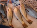 JONZAC,FRANCE-AUGUST 08, 2017: fish stall in the Jonzac market