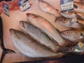 JONZAC,FRANCE-AUGUST 08, 2017: fish stall in the Jonzac market