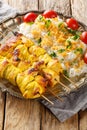 Joojeh kabab is a classic Persian chicken kebob with rice closeup on the plate. Vertical Royalty Free Stock Photo