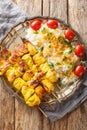 Joojeh kabab is a classic Persian chicken kebob with rice closeup on the plate. Vertical top view Royalty Free Stock Photo