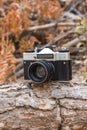 Jordan, Amman, 08/10/2017. Old film camera SLR Zenith with lens Helios-44M on a branch in the forest