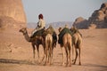 Jordan Desert Camel Wadi Rum Royalty Free Stock Photo