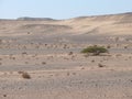 Jordan. Desert. Royalty Free Stock Photo