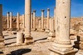 Jordan. The greco roman city of Gerasa Jerash