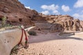 Donkey waiting for Tourist in the ancient city of Petra, Jordan