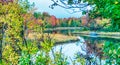 Jordan River foliage colors in Bar Harbor, Maine