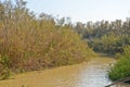 Jordan river, holy land Royalty Free Stock Photo